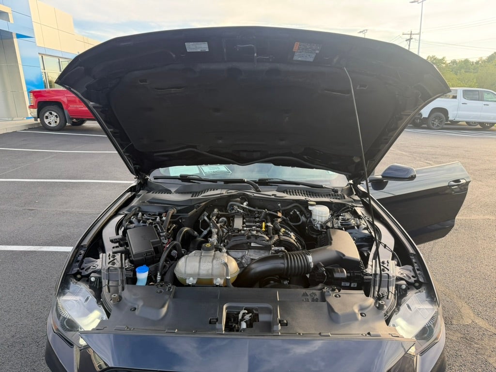 2021 Ford Mustang EcoBoost