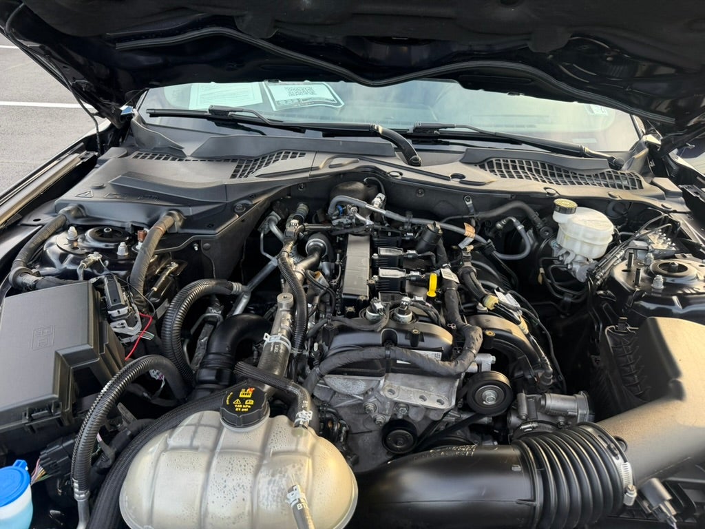 2021 Ford Mustang EcoBoost